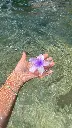 1000217737.webp