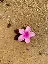 1000217713.webp