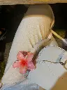 1000217731.webp