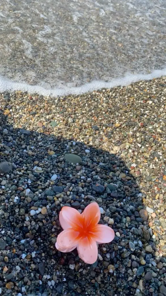 Tropical Glow