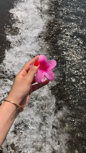 Rose Shore
